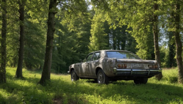 An iconic motor vehicle framed by a inviting day