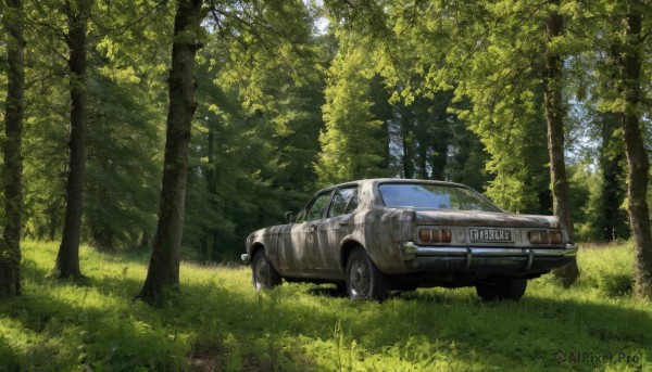 outdoors,day,tree,no humans,grass,ground vehicle,nature,scenery,motor vehicle,forest,car,vehicle focus,wheel,sunlight,sports car