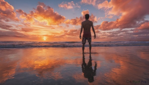 A stunning portrayal of a male in a lush sunset outdoors