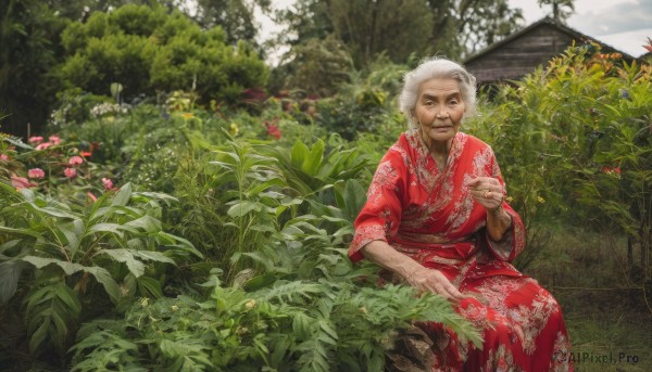 1girl,solo,looking at viewer,smile,1boy,brown eyes,sitting,flower,white hair,grey hair,male focus,outdoors,japanese clothes,day,kimono,tree,sash,facial hair,floral print,plant,nature,scenery,realistic,red kimono,architecture,house,old,east asian architecture,old man,old woman,garden,wrinkled skin,short hair,holding,closed mouth,sky,cloud,black eyes,leaf,obi,grass,smoking pipe