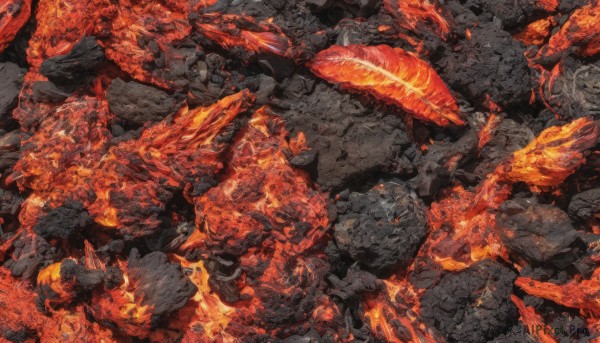 A stunning view of a unique subject in fiery scenery