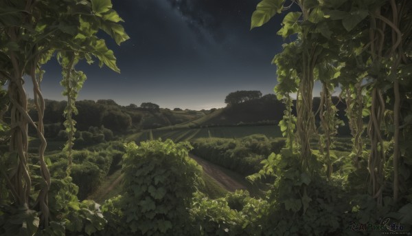 outdoors,sky,artist name,cloud,signature,dated,tree,no humans,night,leaf,grass,plant,star (sky),nature,night sky,scenery,forest,starry sky,vines,landscape,moss,water,sunlight,dark