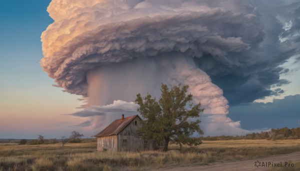 A unique subject in a breathtaking day