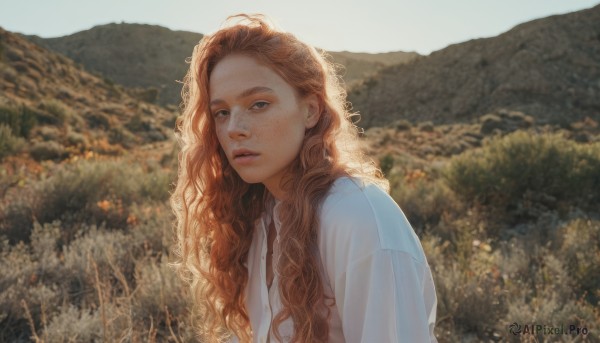 The timeless beauty of a female in a tranquil day