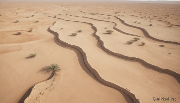 outdoors,day,tree,no humans,shadow,beach,scenery,sand,road,desert,english text,grass,plant,shore