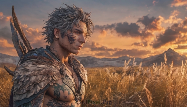 solo,short hair,blue eyes,1boy,jewelry,closed mouth,upper body,weapon,grey hair,male focus,earrings,outdoors,sky,sword,artist name,cloud,cape,armor,blurry,from side,tattoo,profile,muscular,scar,facial mark,cloudy sky,feathers,pectorals,muscular male,shoulder armor,sunset,mountain,realistic,looking afar,field,twilight,chest tattoo,mountainous horizon,nipples,necklace,lips,piercing,scenery,pauldrons,fantasy,stud earrings,facial tattoo,weapon on back,evening,orange sky,neck tattoo