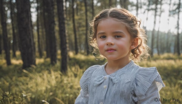 1girl,solo,looking at viewer,short hair,brown hair,shirt,long sleeves,dress,brown eyes,closed mouth,upper body,flower,outdoors,day,striped,blurry,black eyes,lips,buttons,depth of field,blurry background,grass,blue shirt,child,nature,forest,curly hair,striped shirt,realistic,female child,blonde hair,parted lips,tree,sunlight,portrait,vertical stripes