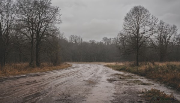 A landscape amidst a calm snowy day