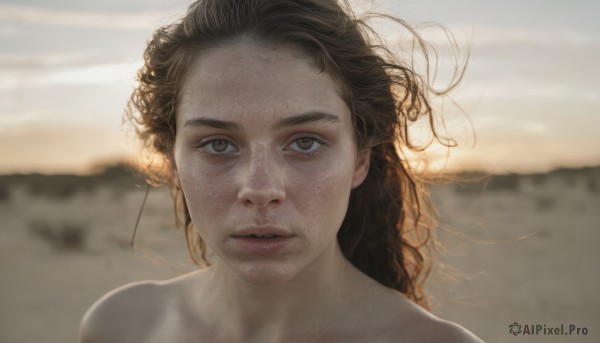 A female surrounded by a captivating sunset outdoors