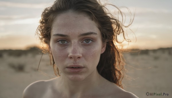 1girl,solo,long hair,looking at viewer,brown hair,brown eyes,collarbone,nude,outdoors,parted lips,sky,water,blurry,lips,blurry background,ocean,beach,sunlight,messy hair,portrait,freckles,curly hair,realistic,sand,black hair,bare shoulders,eyelashes,floating hair,wind,backlighting,sunset