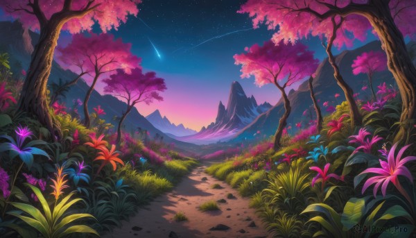 flower, outdoors, sky, tree, no humans, night, grass, star (sky), nature, night sky, scenery, starry sky, mountain, road, landscape, mountainous horizon, shooting star, path