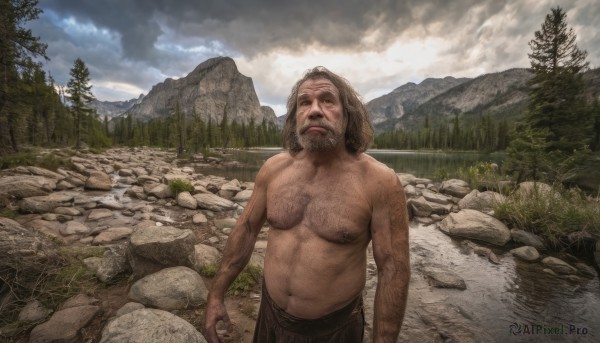 solo,looking at viewer,brown hair,1boy,navel,nipples,standing,male focus,outdoors,sky,day,cloud,tree,facial hair,cloudy sky,nature,scenery,beard,forest,topless male,rock,mountain,realistic,mustache,chest hair,river,arm hair,water,grass,landscape