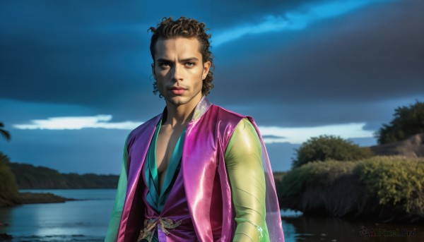 HQ,solo,looking at viewer,brown hair,black hair,1boy,brown eyes,upper body,male focus,outdoors,sky,cloud,dark skin,water,tree,lips,night,nature,curly hair,realistic,lake,day,dark-skinned male,bug