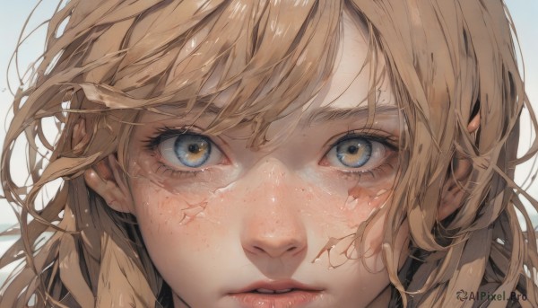 1girl,solo,long hair,looking at viewer,bangs,blue eyes,blonde hair,simple background,white background,parted lips,lips,eyelashes,scar,portrait,close-up,freckles,nose,straight-on,eye focus,hair between eyes,messy hair,realistic