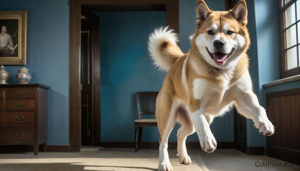 A delightful capture of a dog within sunlight
