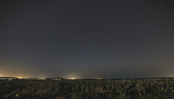 outdoors,sky,water,tree,no humans,night,ocean,grass,star (sky),nature,night sky,scenery,starry sky,sunset,horizon,landscape,ground vehicle,field