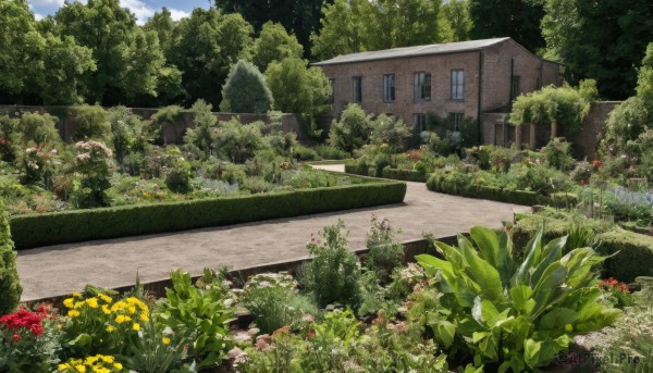 A garden caught in a peaceful day