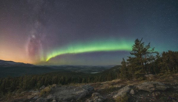 A vibrant landscape captured in outdoors
