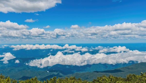 flower,outdoors,sky,day,cloud,tree,blue sky,no humans,cloudy sky,grass,nature,scenery,forest,mountain,sunflower,horizon,field,landscape,mountainous horizon,hill,water,ocean