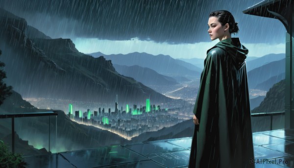 1girl,solo,short hair,black hair,standing,closed eyes,outdoors,sky,cloud,hood,water,from side,tree,profile,makeup,hood down,cloudy sky,building,scenery,cloak,rain,robe,mountain,city,cityscape,hair pulled back,cape,night,single hair bun,science fiction,lake