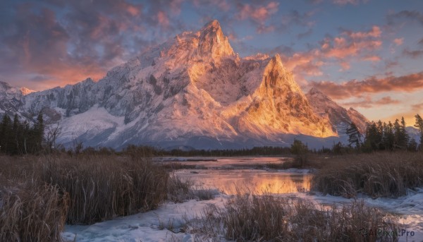 A landscape in a serene snowy day