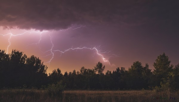 outdoors,sky,cloud,tree,no humans,cloudy sky,grass,nature,scenery,forest,sunset,electricity,lightning,red sky,dark,landscape