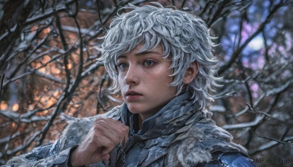 solo,short hair,blue eyes,1boy,upper body,white hair,male focus,parted lips,scarf,blurry,tree,lips,grey eyes,depth of field,blurry background,portrait,freckles,realistic,nose,winter,bare tree,1girl,outdoors,coat,night,messy hair,snow,fence