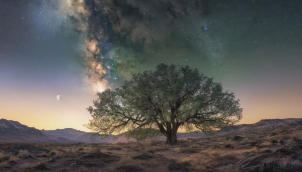 The elegance of a landscape in a ethereal sunset outdoors