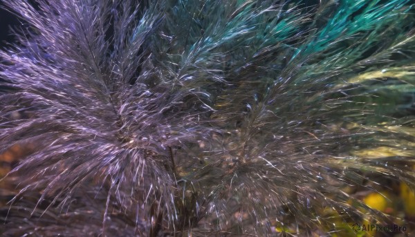 A abstract portrayed in a vivid background