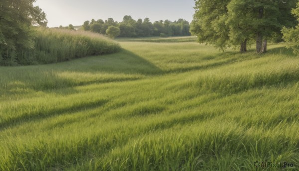 A glimpse of a landscape in a lush day