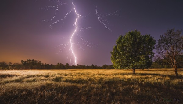 outdoors,sky,cloud,tree,no humans,night,grass,nature,night sky,scenery,forest,sunset,fence,electricity,field,lightning,purple sky,cloudy sky,horizon,dark,landscape