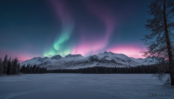 outdoors,sky,tree,no humans,night,star (sky),nature,night sky,scenery,snow,forest,starry sky,mountain,winter,bare tree,landscape,pine tree,aurora,water,lake