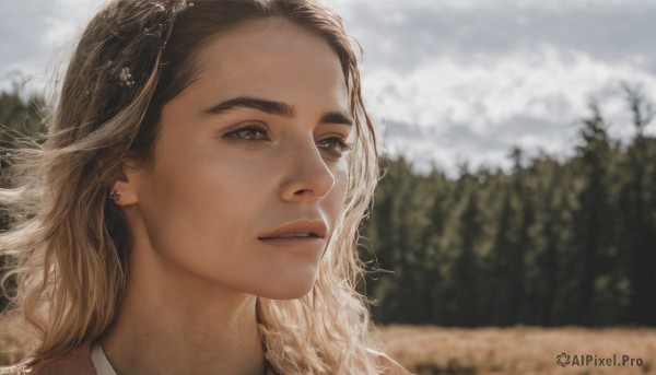 1girl,solo,long hair,blonde hair,brown hair,brown eyes,jewelry,multicolored hair,earrings,outdoors,parted lips,sky,day,artist name,cloud,blurry,tree,lips,depth of field,blurry background,portrait,nature,realistic,nose,hair ornament,teeth,signature,cloudy sky,looking afar