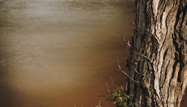 outdoors,signature,tree,no humans,plant,nature,scenery,brown background,branch,vines,cliff,sky,cloud,gradient,bird,leaf,traditional media,grass,bare tree