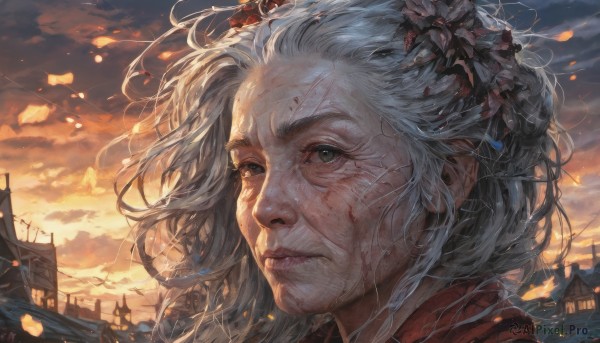 1girl,solo,looking at viewer,short hair,hair ornament,closed mouth,green eyes,flower,white hair,grey hair,outdoors,sky,cloud,hair flower,lips,grey eyes,petals,blood,cloudy sky,wind,building,messy hair,portrait,sunset,injury,blood on face,realistic,nose,old,power lines,old woman,long hair,artist name,eyelashes,floating hair,scar,fire