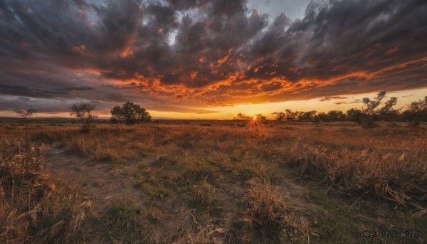 outdoors,sky,cloud,tree,dutch angle,no humans,cloudy sky,grass,nature,scenery,forest,sunset,horizon,road,field,river,landscape,hill,fire,ground vehicle,evening