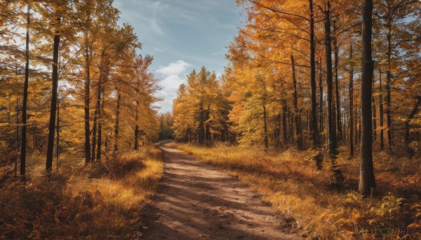 A striking day featuring the elegance of a landscape