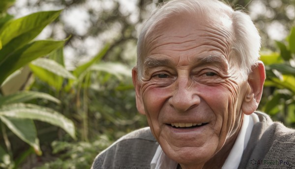 solo,looking at viewer,smile,open mouth,1boy,upper body,flower,white hair,male focus,japanese clothes,teeth,kimono,grin,blurry,black eyes,depth of field,blurry background,portrait,realistic,bald,old,old man,old woman,wrinkled skin,leaf,plant,nature