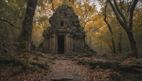 outdoors,day,tree,no humans,leaf,sunlight,grass,plant,nature,scenery,forest,stairs,ruins,pillar,bare tree,statue,path,rock,stone