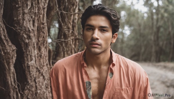 solo,looking at viewer,shirt,black hair,1boy,brown eyes,upper body,male focus,outdoors,parted lips,open clothes,day,collared shirt,blurry,black eyes,tree,open shirt,blurry background,facial hair,nature,pocket,pink shirt,realistic,stubble,photo background,short hair,closed mouth,lips,depth of field,expressionless,red shirt,forest,breast pocket,partially unbuttoned