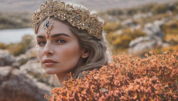 1girl,solo,long hair,looking at viewer,brown eyes,jewelry,closed mouth,flower,grey hair,outdoors,day,artist name,signature,blurry,dated,lips,grey eyes,eyelashes,depth of field,blurry background,tiara,crown,gem,portrait,freckles,realistic,nose,brown hair,sky,field