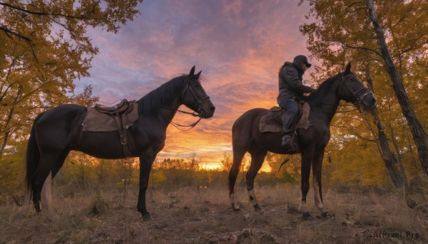 solo,gloves,long sleeves,1boy,hat,male focus,boots,outdoors,sky,cloud,from side,tree,animal,grass,nature,scenery,forest,sunset,riding,wide shot,horse,horseback riding,reins,saddle,shirt,holding,jacket,shoes,pants,hood,black footwear,sunlight,cloudy sky,denim,blue jacket,1other,ambiguous gender