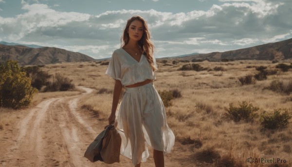 1girl,solo,long hair,looking at viewer,skirt,brown hair,shirt,dress,holding,brown eyes,jewelry,closed mouth,standing,white shirt,braid,short sleeves,outdoors,sky,day,cloud,dark skin,necklace,bag,white dress,dark-skinned female,tree,blue sky,lips,see-through,feet out of frame,cloudy sky,scenery,mountain,realistic,holding bag,field,mountainous horizon,breasts,blue eyes,underwear,panties,belt