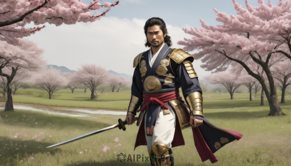 solo,looking at viewer,black hair,long sleeves,1boy,holding,closed mouth,standing,weapon,male focus,outdoors,japanese clothes,sky,day,pants,sword,holding weapon,armor,tree,sash,petals,facial hair,holding sword,katana,grass,cherry blossoms,shoulder armor,beard,walking,white pants,mustache,vambraces,japanese armor,samurai,flower,boots,cloud,kimono,blue sky,feet out of frame,scar,obi,single hair bun,sheath,pink flower,scar across eye,arms at sides,field,greaves,arm guards,blind