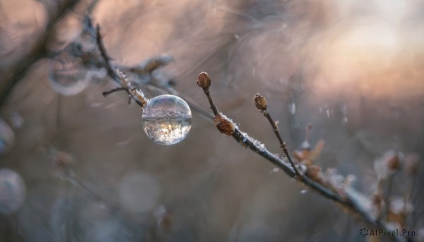 blurry, no humans, depth of field, scenery, fantasy, planet