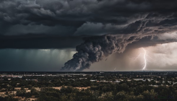 A idyllic lightning within a lush outdoors