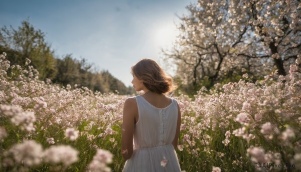 1girl, solo, short hair, brown hair, dress, flower, outdoors, sky, sleeveless, day, from behind, white dress, blurry, tree, blue sky, sleeveless dress, depth of field, sunlight, scenery, sundress, facing away, field, flower field