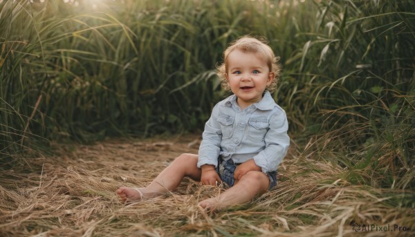 solo,looking at viewer,smile,short hair,open mouth,blue eyes,blonde hair,shirt,long sleeves,1boy,sitting,full body,white shirt,male focus,outdoors,shorts,barefoot,teeth,collared shirt,blurry,toes,grass,child,nature,blue shorts,denim shorts,pocket,realistic,breast pocket,male child,dirty,dirty feet,:d,blurry background,upper teeth only,denim,wheat