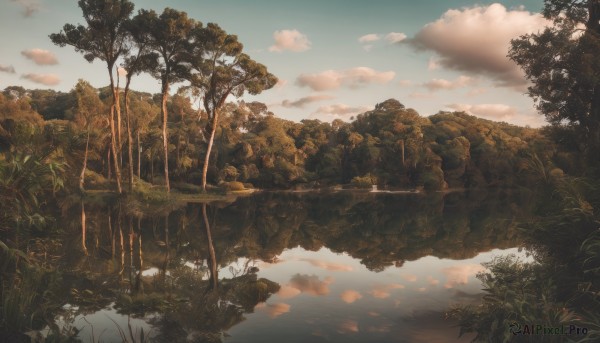 A delightful capture of a landscape within sunset day