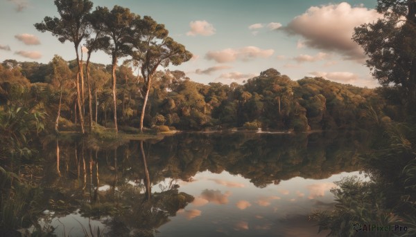 outdoors,sky,day,cloud,water,tree,blue sky,no humans,sunlight,cloudy sky,grass,plant,nature,scenery,forest,reflection,sunset,river,landscape,lake,monochrome,mountain